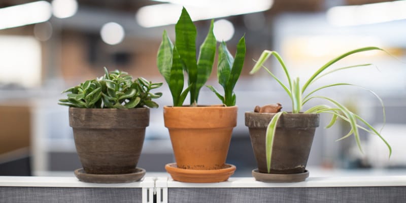 Behind the scenes: A leaner, greener Meeting Tomorrow