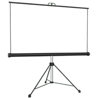 6' tripod screen
