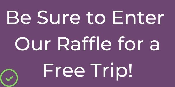 high contrast digital signage design