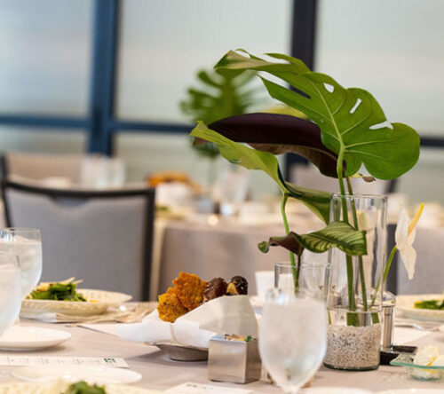 Mix of stages and audiences at Raleigh corporate meetings and events