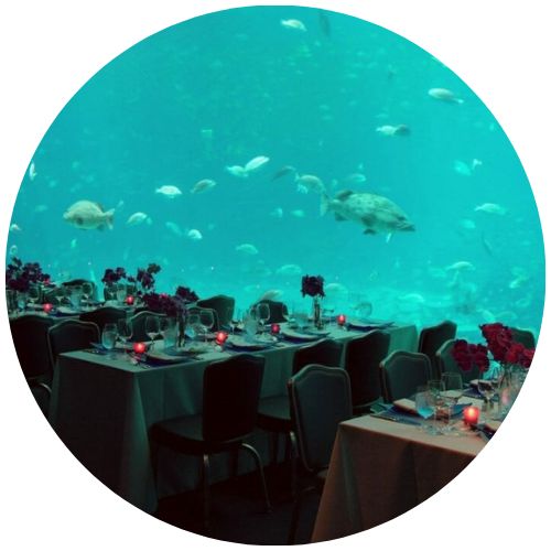 events at atlanta aquarium