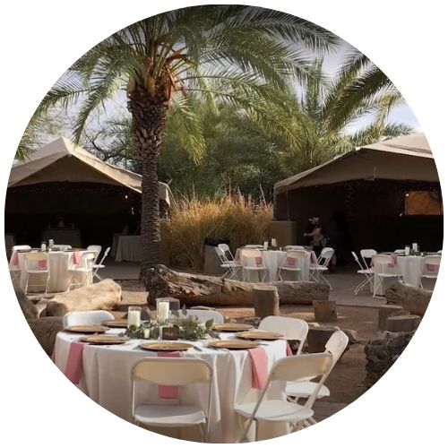 events at phoenix zoo