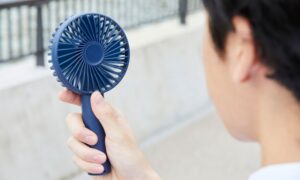 portable fan