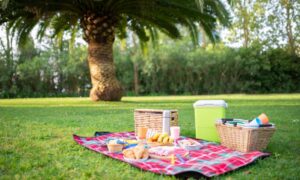 ground cover blanket
